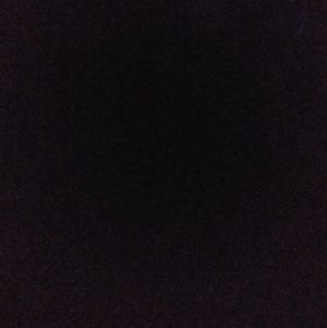 Meet your Posher, Lilli